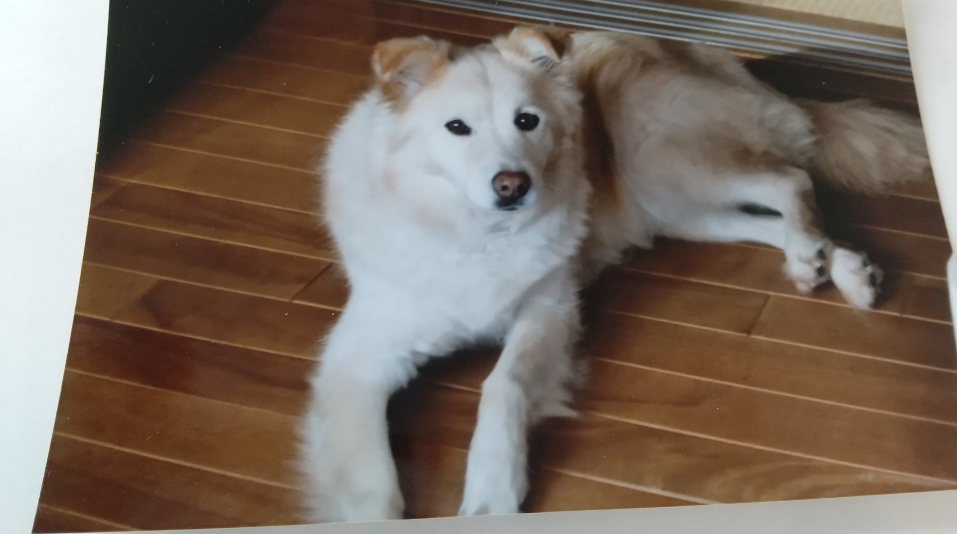 もえ