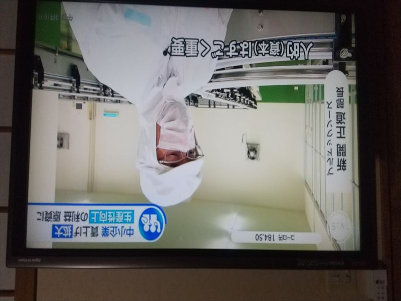 ブルドック 人が大事