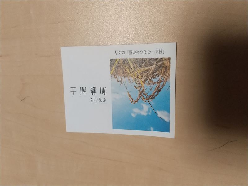 加藤市長 名刺