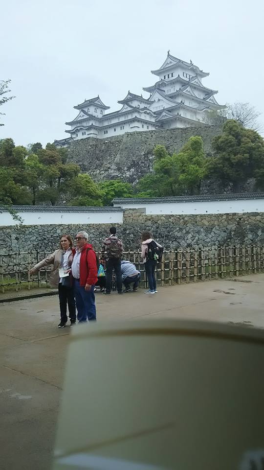 城 遠くから