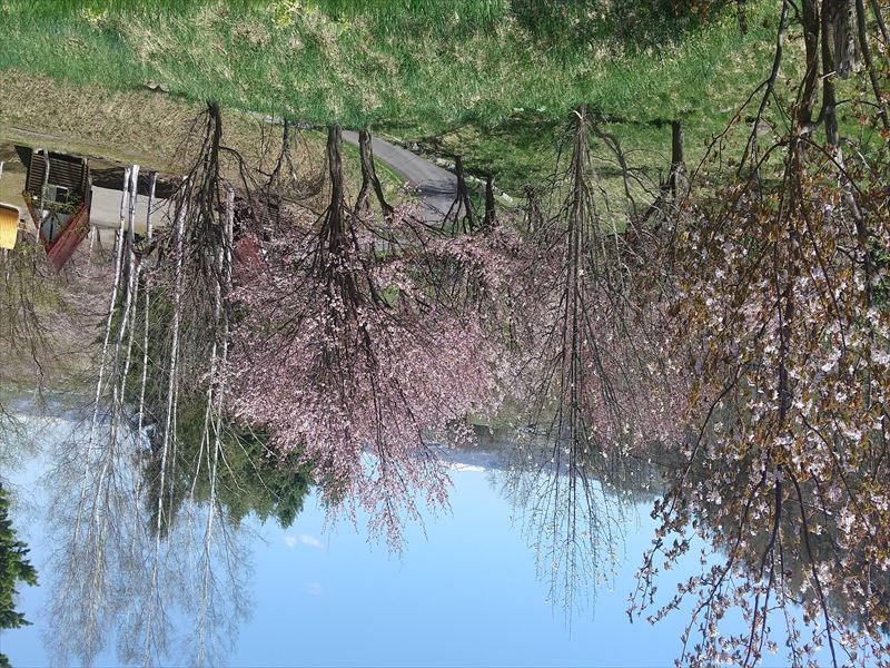 三笠公園