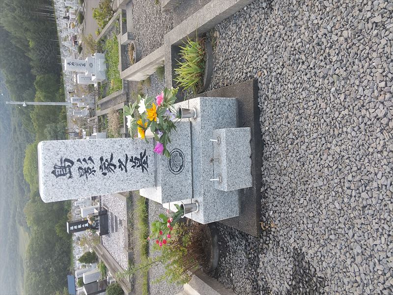 817 島影