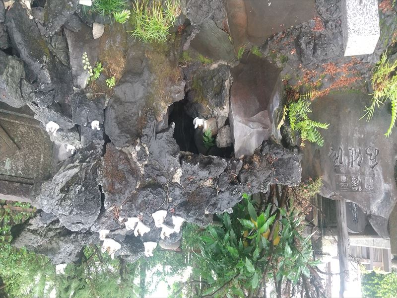 帝釈天 白蛇