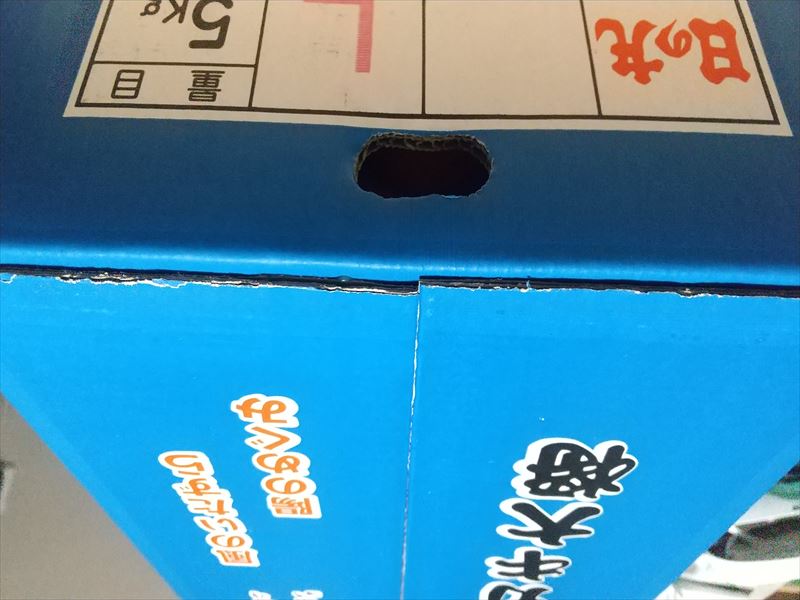 愛媛ミカン