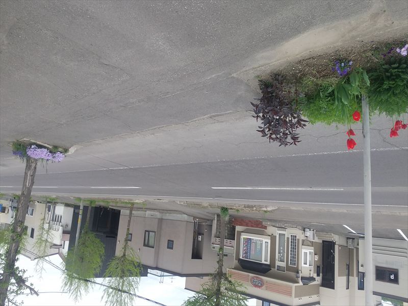 18日 我が家の花壇