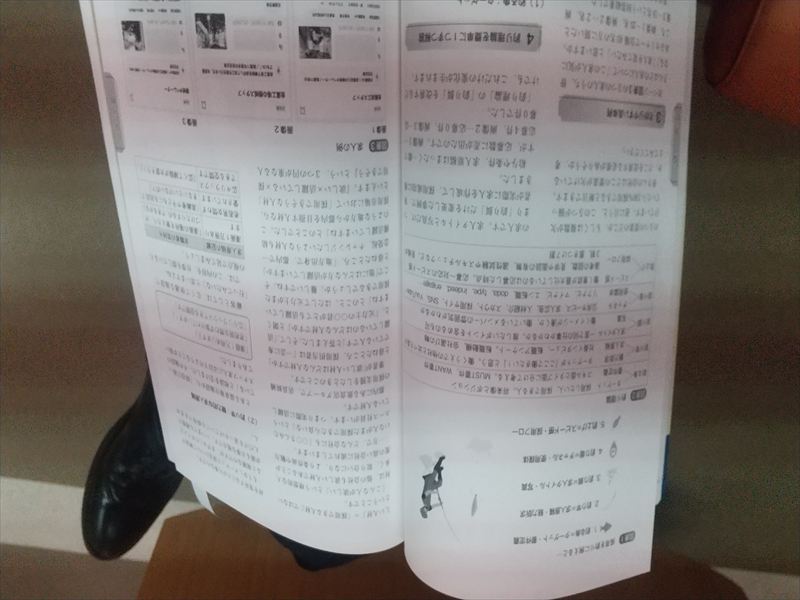 採用 魚釣り