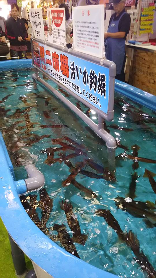 活いか