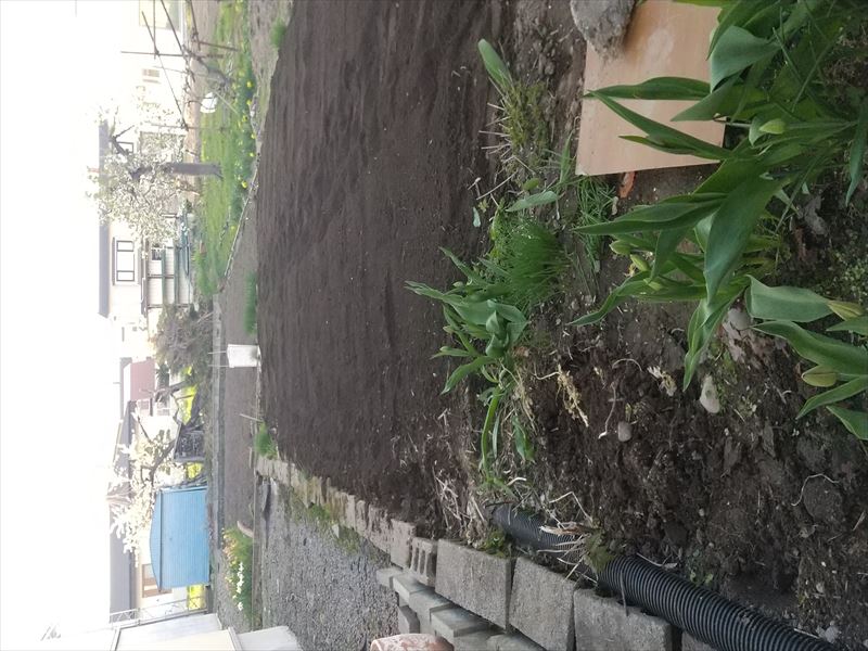 つちおこし