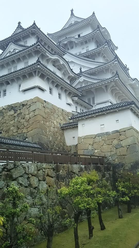 近くで見る城