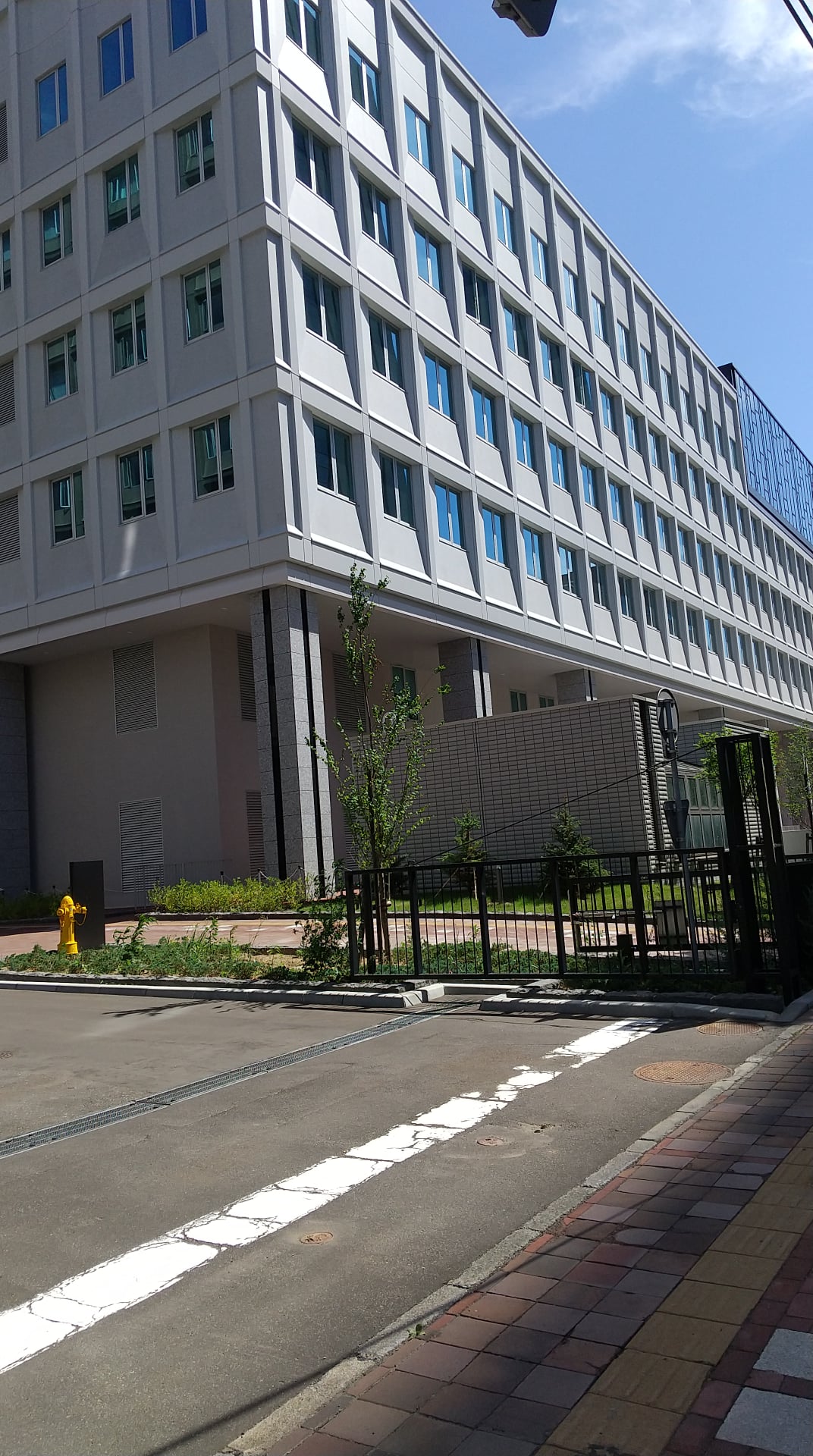 道議会 外観