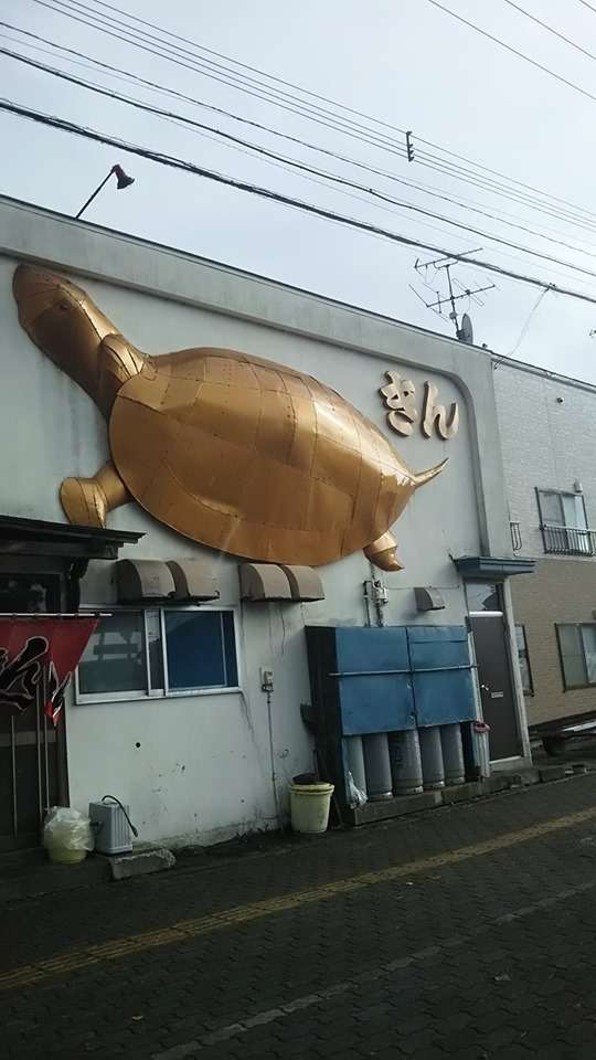 亀 食