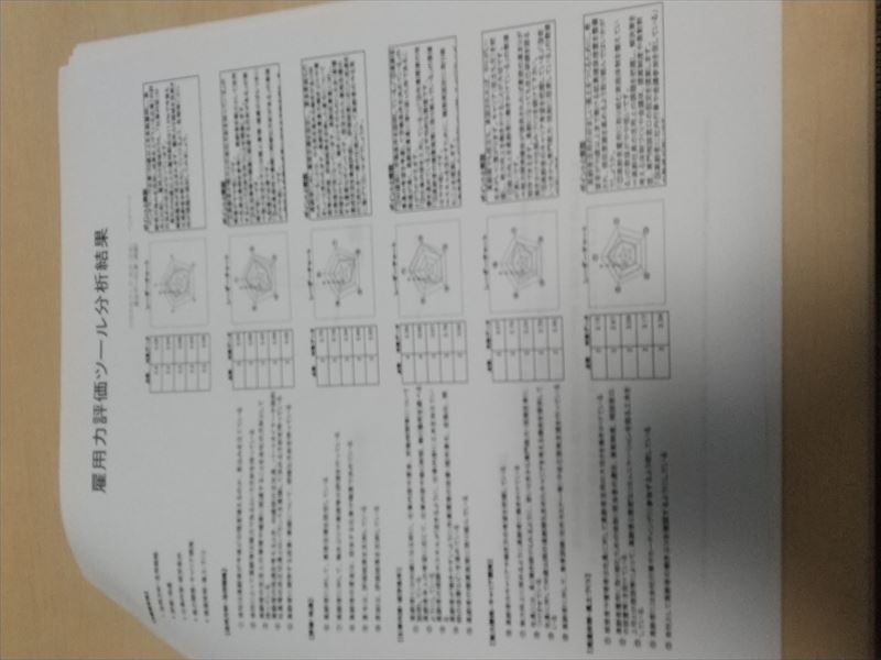 雇用力評価 分析結果
