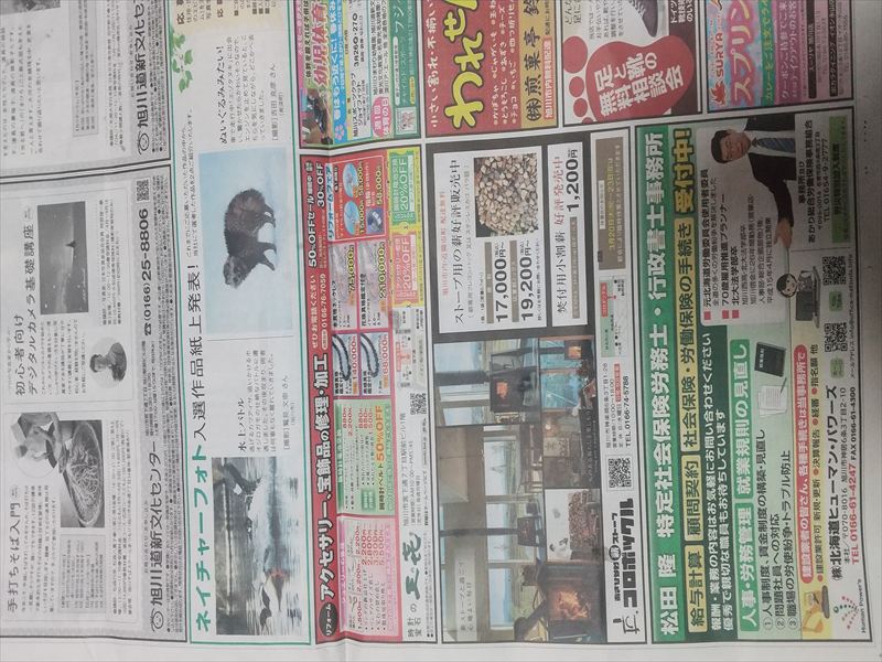 道新20面