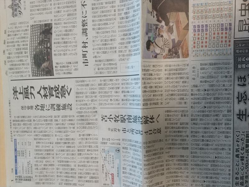 道新6月