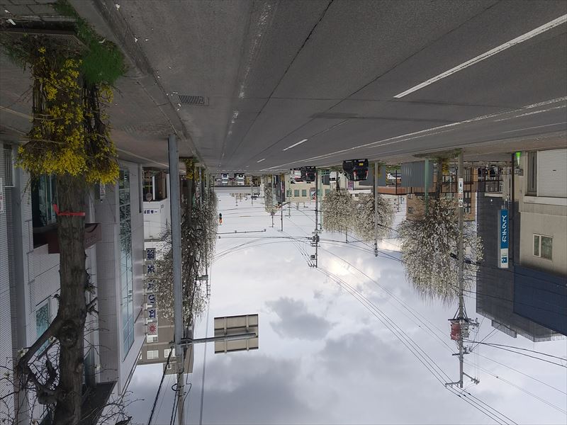 1条 こぶし通り