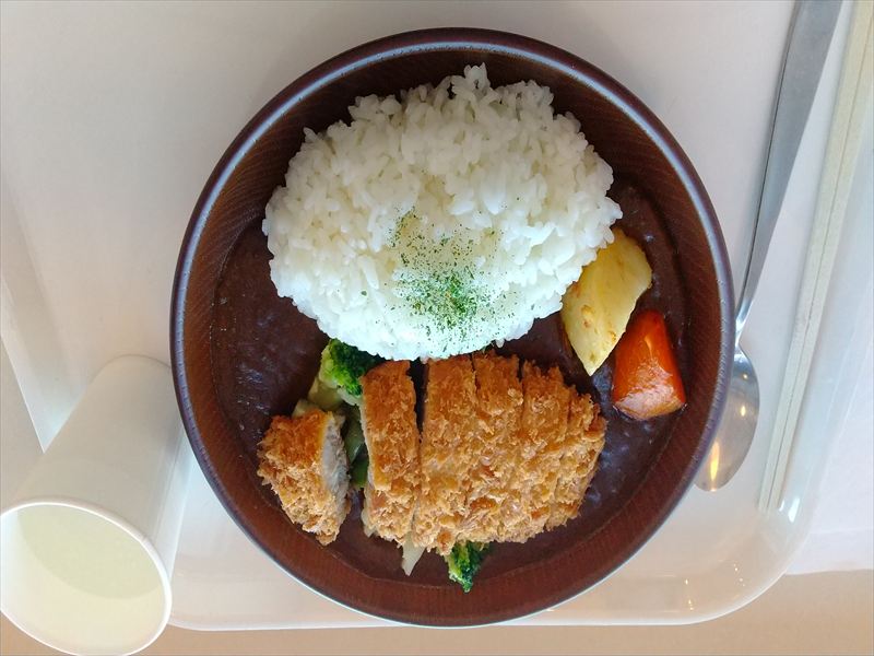 20日 カツカレー