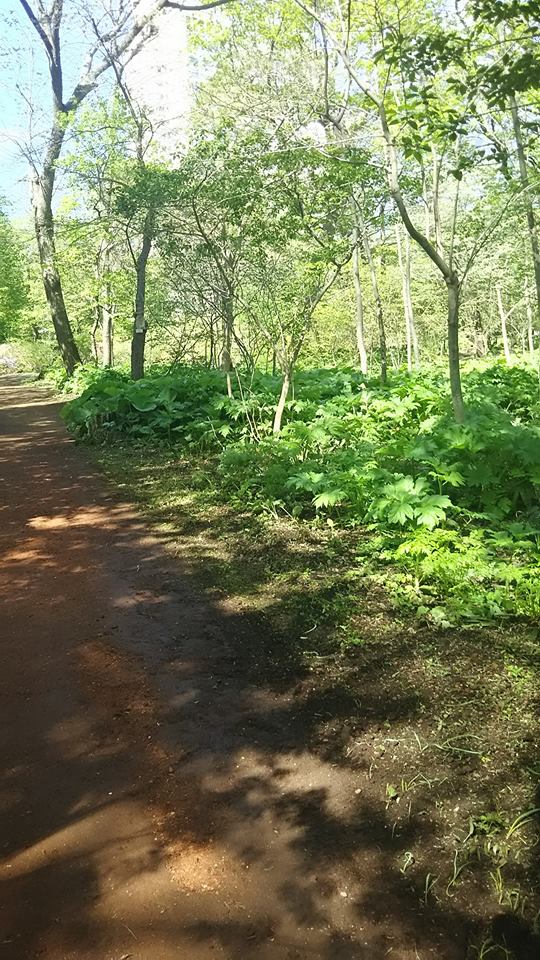 散策道