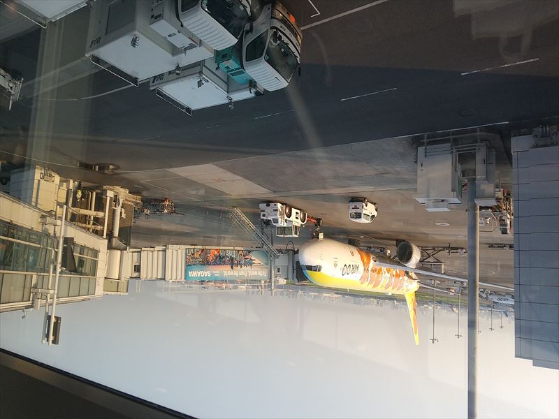 帰りの飛行機