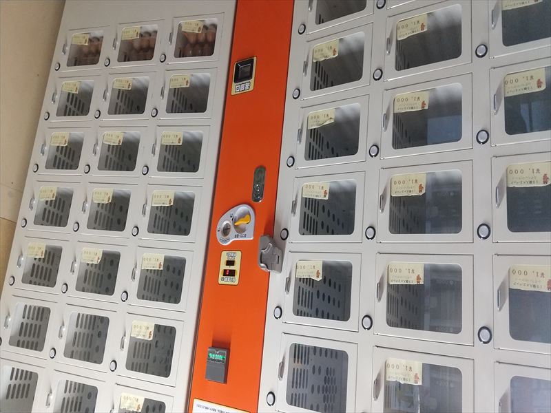 48�@�����ό����@�����