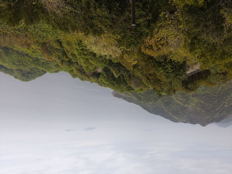 ���܂Ȃ݊C��