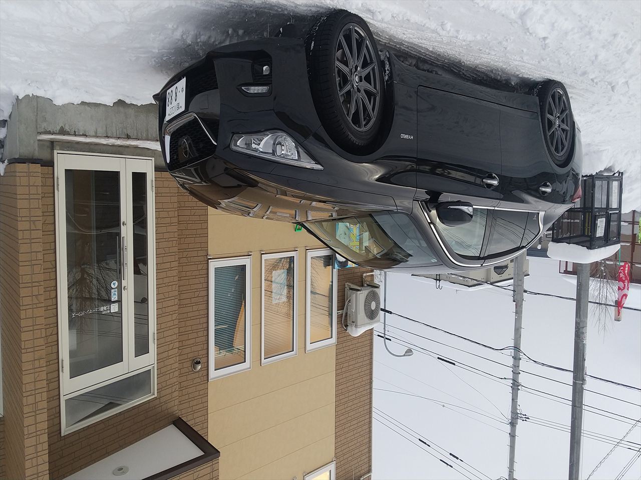 �X�J�C���C���@�P��