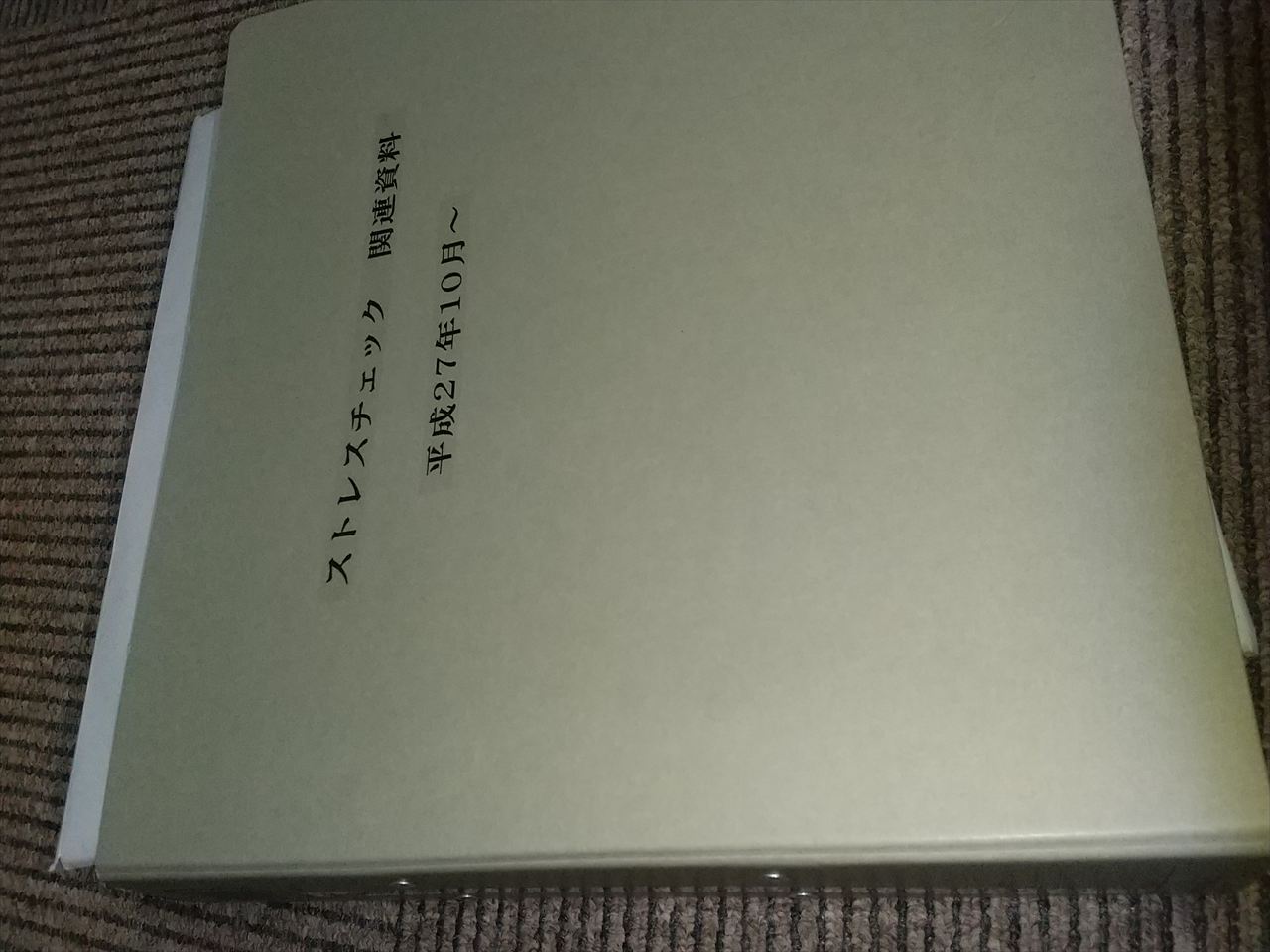 �̂Ă�@�X�g���X�`�F�b�N