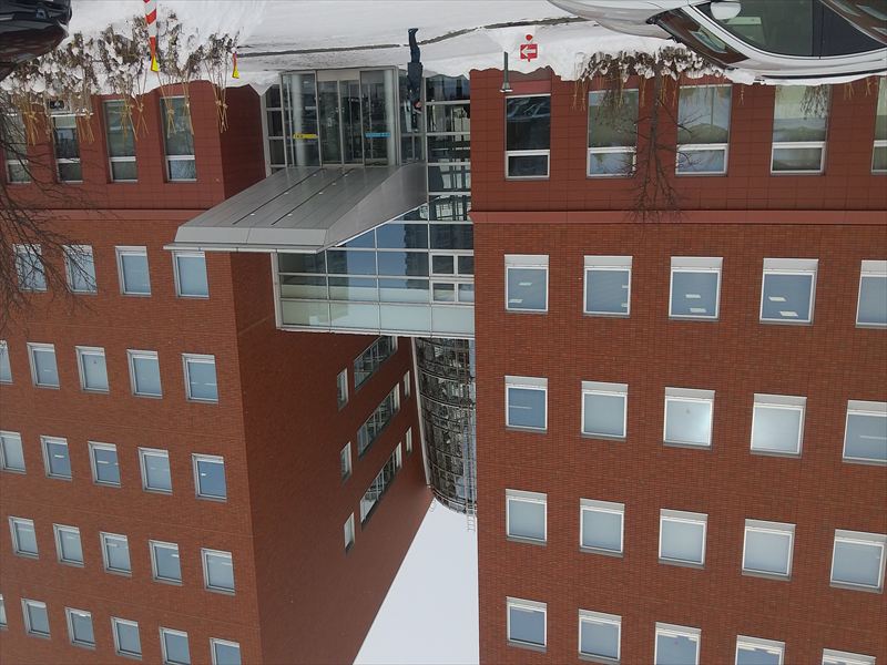 �������Ɂ@�P��