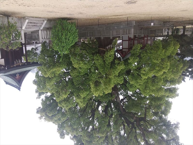 �P�ʎ��@���