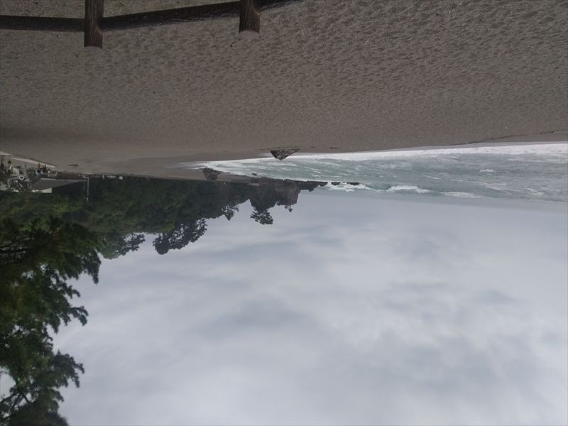 �j�l�@�C��