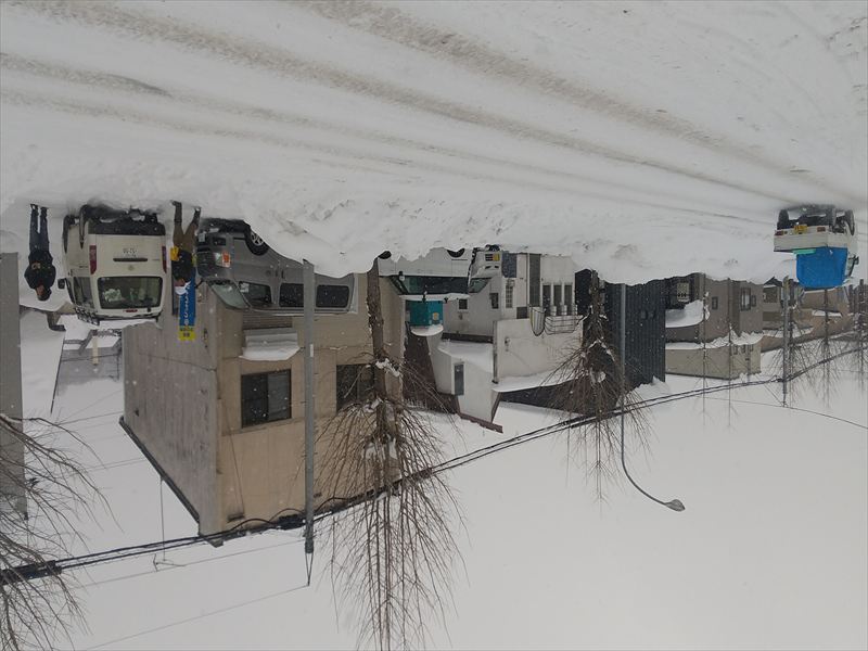 �Ǝ��Q�@�Ǝ�