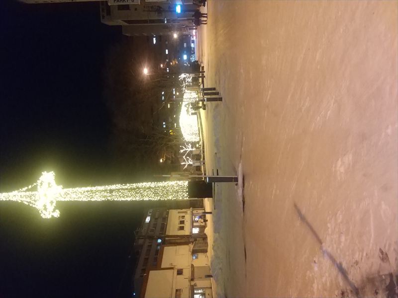 �ߘa�V�N�Γ��Q