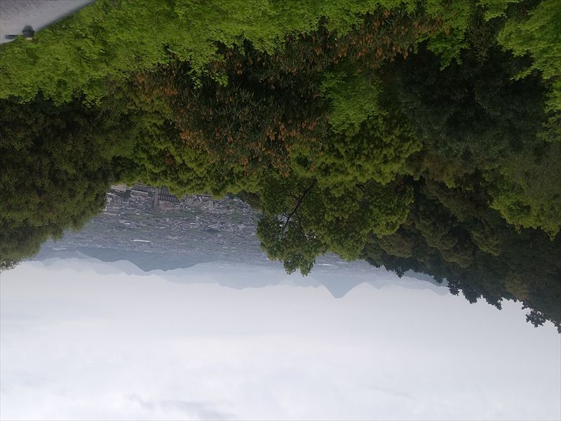 ����������@�R����̒���