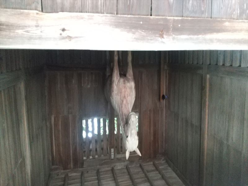 ����������@�n�̑�