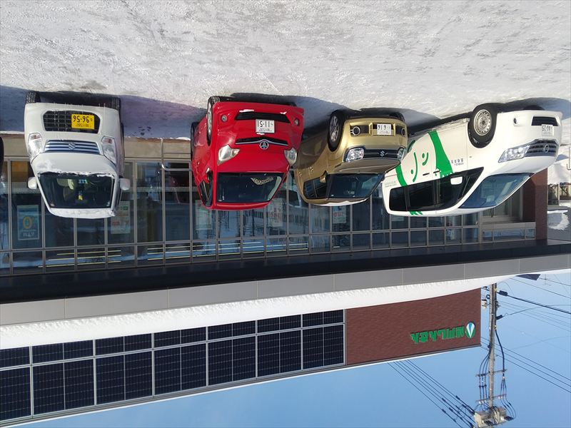 �ߘa�W�N�P���@�M�����L